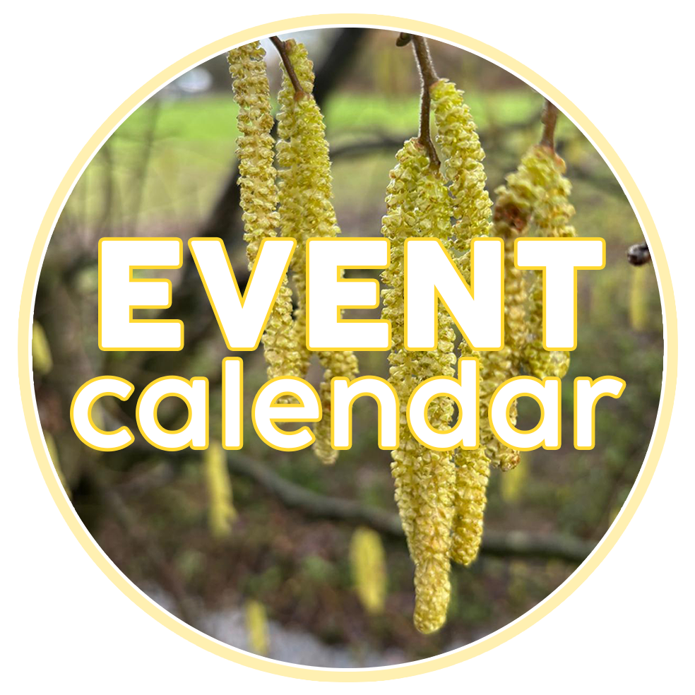 calendar 2